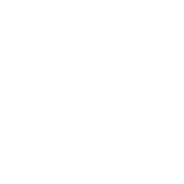 Pole Vault App logo